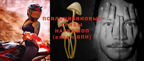 spice Алзамай