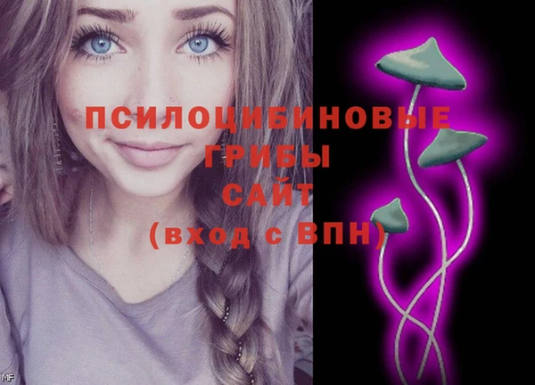 эйфоретик Алексеевка